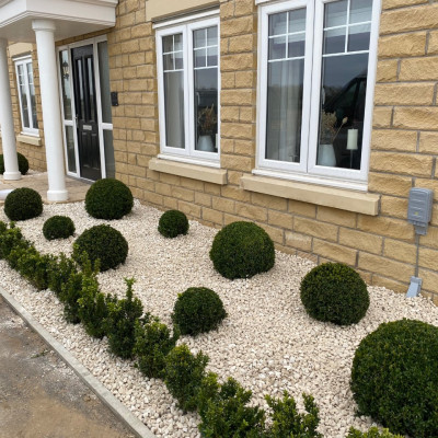 Buxus ball garden design